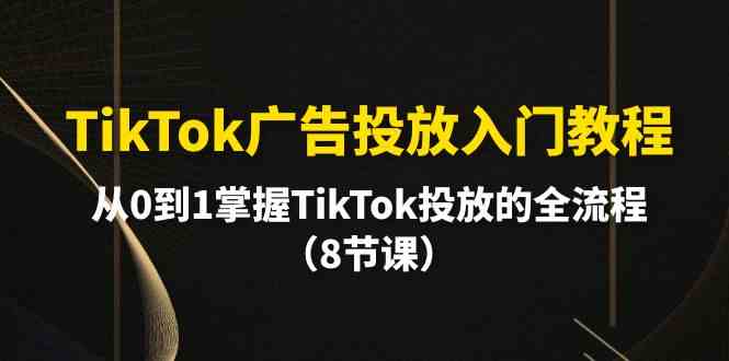 （10085期）TikTok广告投放入门教程，从0到1掌握TikTok投放的全流程（8节课）-佳佳云创网