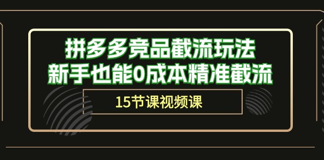 （10301期）拼多多竞品截流玩法，新手也能0成本精准截流（15节课）-佳佳云创网