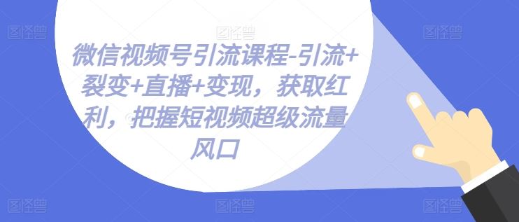 微信视频号引流课程-引流+裂变+直播+变现，获取红利，把握短视频超级流量风口-佳佳云创网