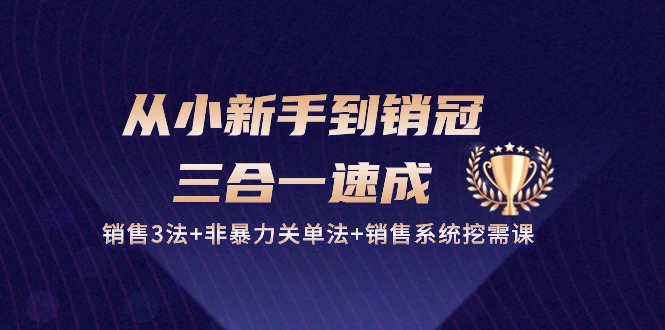 （10799期）从小新手到销冠 三合一速成：销售3法+非暴力关单法+销售系统挖需课 (27节)-佳佳云创网