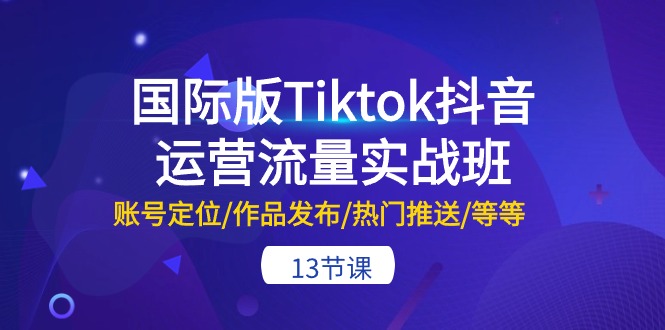 （10712期）国际版Tiktok抖音运营流量实战班：账号定位/作品发布/热门推送/等等-13节-佳佳云创网