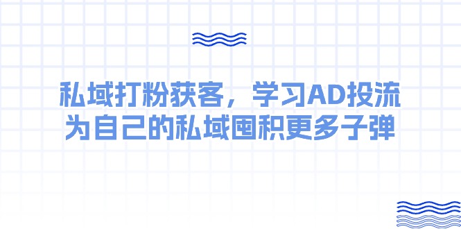 （10728期）某收费课：私域打粉获客，学习AD投流，为自己的私域囤积更多子弹-佳佳云创网