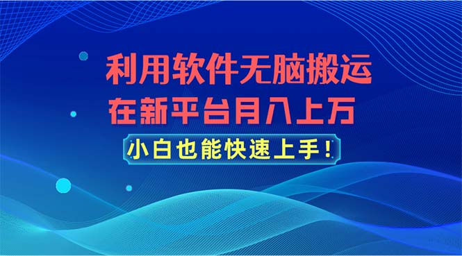 （11078期）利用软件无脑搬运，在新平台月入上万，小白也能快速上手-佳佳云创网