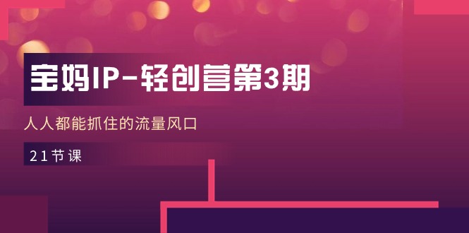 （11042期）宝妈IP-轻创营第3期，人人都能抓住的流量风口（21节课）-佳佳云创网