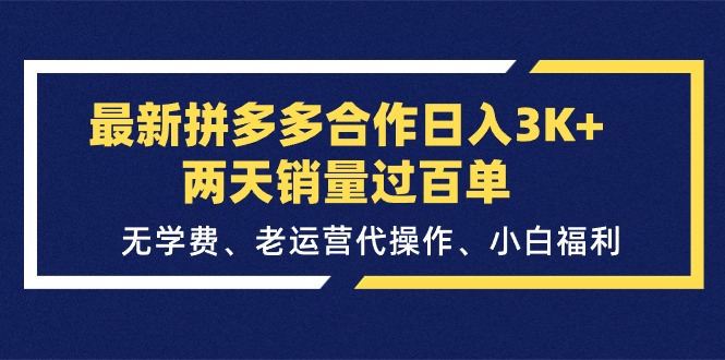 （11291期）最新拼多多合作日入3K+两天销量过百单，无学费、老运营代操作、小白福利-佳佳云创网