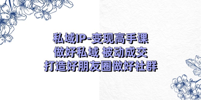 （11209期）私域IP-变现高手课：做好私域 被动成交，打造好朋友圈做好社群（18节）-佳佳云创网