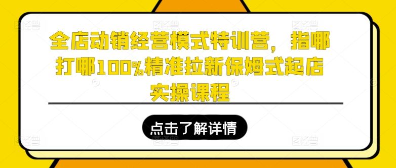 全店动销经营模式特训营，指哪打哪100%精准拉新保姆式起店实操课程-佳佳云创网
