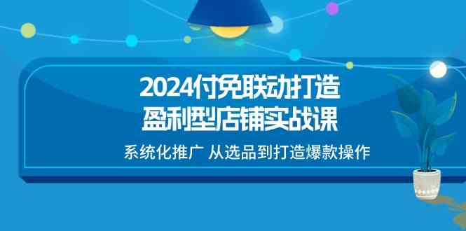 2024付免联动打造盈利型店铺实战课，系统化推广 从选品到打造爆款操作-佳佳云创网