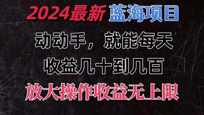 （11470期）有手就行的2024全新蓝海项目，每天1小时收益几十到几百，可放大操作收…-佳佳云创网