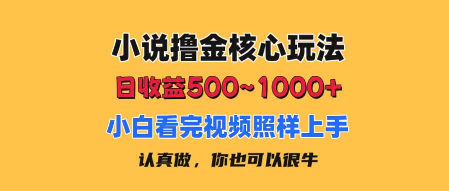 （11461期）小说撸金核心玩法，日收益500-1000+，小白看完照样上手，0成本有手就行-佳佳云创网
