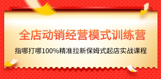 （11460期）全店动销-经营模式训练营，指哪打哪100%精准拉新保姆式起店实战课程-佳佳云创网