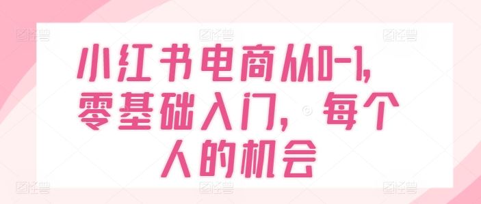 小红书电商从0-1，零基础入门，每个人的机会-佳佳云创网