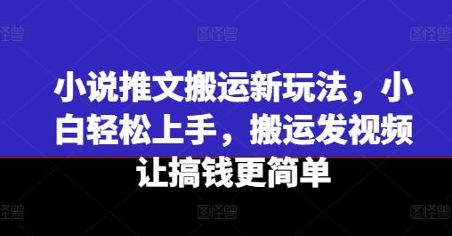 小说推文搬运新玩法，小白轻松上手，搬运发视频让搞钱更简单-佳佳云创网