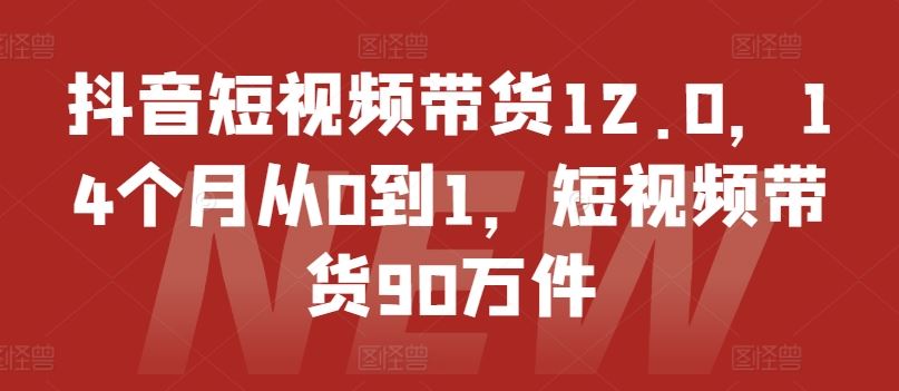 抖音短视频带货12.0，14个月从0到1，短视频带货90万件-佳佳云创网