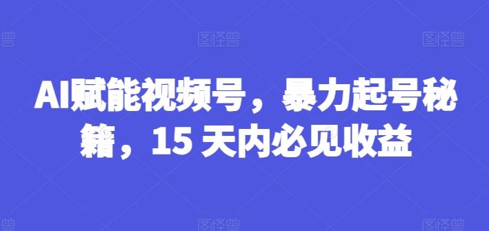 AI赋能视频号，暴力起号秘籍，15 天内必见收益【揭秘】-佳佳云创网