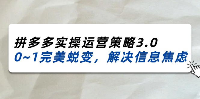 （11658期）2024_2025拼多多实操运营策略3.0，0~1完美蜕变，解决信息焦虑（38节）-佳佳云创网