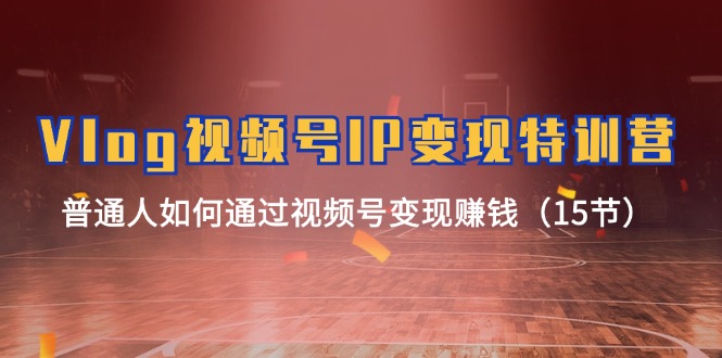 Vlog视频号IP变现特训营，普通人如何通过视频号变现赚钱（15节）-佳佳云创网