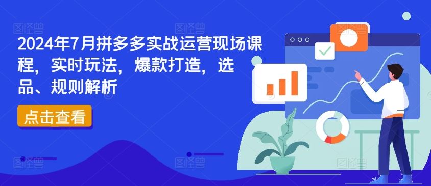 2024年7月拼多多实战运营现场课程，实时玩法，爆款打造，选品、规则解析-佳佳云创网