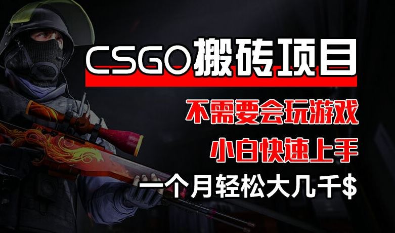 CSGO 装备搬砖项目，操作简单，不需要会玩游戏，小白也能快速上手，一个月轻松大几千【揭秘】-佳佳云创网