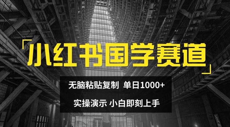 小红书国学赛道，无脑粘贴复制，单日1K，实操演示，小白即刻上手【揭秘】-佳佳云创网