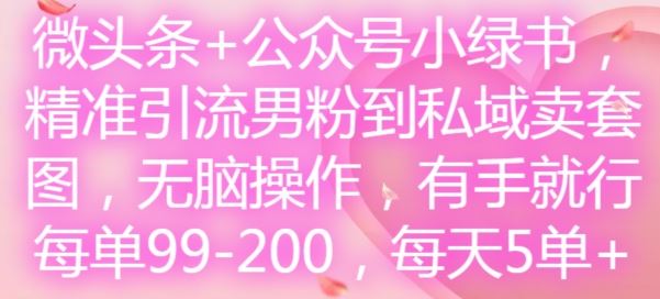 微头条+公众号小绿书，精准引流男粉到私域卖套图，无脑操作，有手就行，每单99-200，每天5单-佳佳云创网