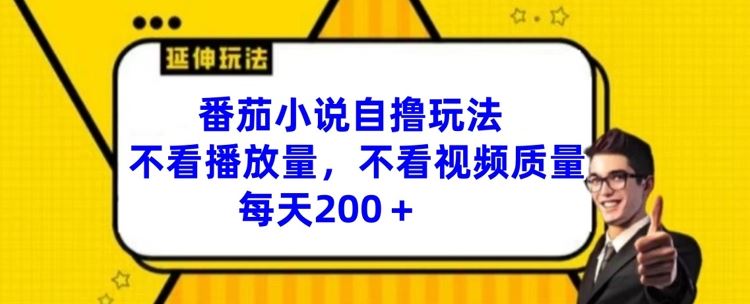 番茄小说自撸玩法，不看播放量，不看视频质量，每天200+【揭秘】-佳佳云创网