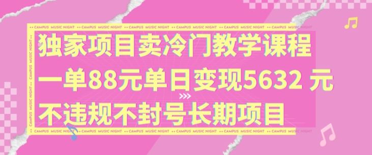独家项目卖冷门教学课程一单88元单日变现5632元违规不封号长期项目【揭秘】-佳佳云创网