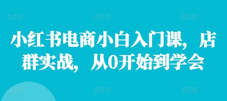 小红书电商小白入门课，店群实战，从0开始到学会-佳佳云创网
