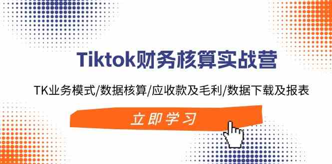 Tiktok财务核算实战营：TK业务模式/数据核算/应收款及毛利/数据下载及报表-佳佳云创网