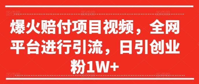 爆火赔付项目视频，全网平台进行引流，日引创业粉1W+【揭秘】-佳佳云创网