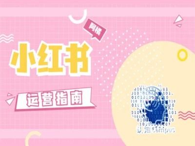 小红书运营指南，没有套路，全是经验-佳佳云创网