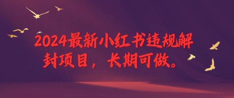 2024最新小红书违规解封项目，长期可做，一个可以做到退休的项目【揭秘】-佳佳云创网
