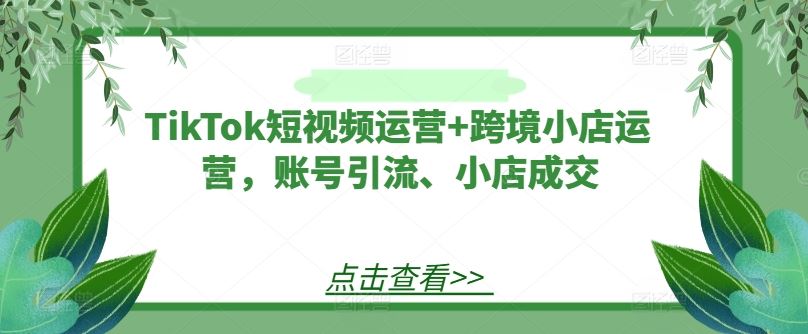 TikTok短视频运营+跨境小店运营，账号引流、小店成交-佳佳云创网