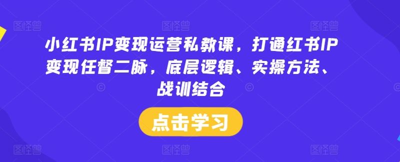 小红书IP变现运营私教课，打通红书IP变现任督二脉，底层逻辑、实操方法、战训结合-佳佳云创网
