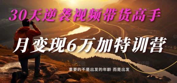 30天逆袭视频带货高手，单月变现6万加特训营-麦子甜-佳佳云创网