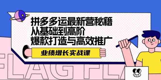 拼多多运最新营秘籍：业绩增长实战课，从基础到高阶，爆款打造与高效推广-佳佳云创网