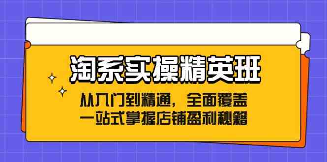 淘系实操精英班：从入门到精通，全面覆盖，一站式掌握店铺盈利秘籍-佳佳云创网