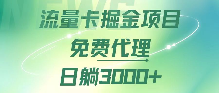 （12321期）流量卡掘金代理，日躺赚3000+，变现暴力，多种推广途径-佳佳云创网