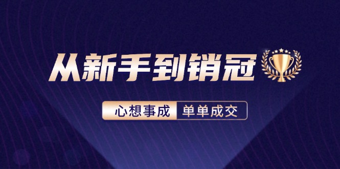 （12383期）从新手到销冠：精通客户心理学，揭秘销冠背后的成交秘籍-佳佳云创网