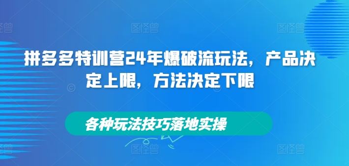 拼多多特训营24年爆破流玩法，产品决定上限，方法决定下限，各种玩法技巧落地实操-佳佳云创网