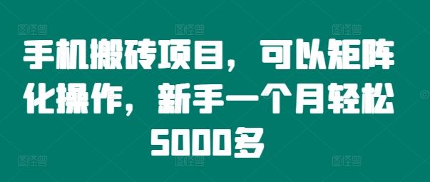 手机搬砖项目，可以矩阵化操作，新手一个月轻松5000多-佳佳云创网