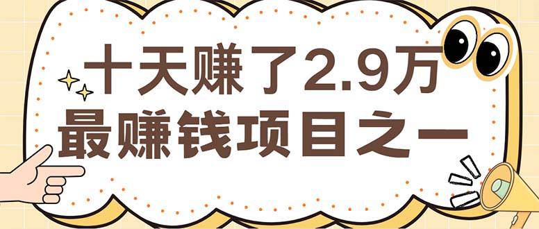 （12491期）闲鱼小红书赚钱项目之一，轻松月入6万+项目-佳佳云创网