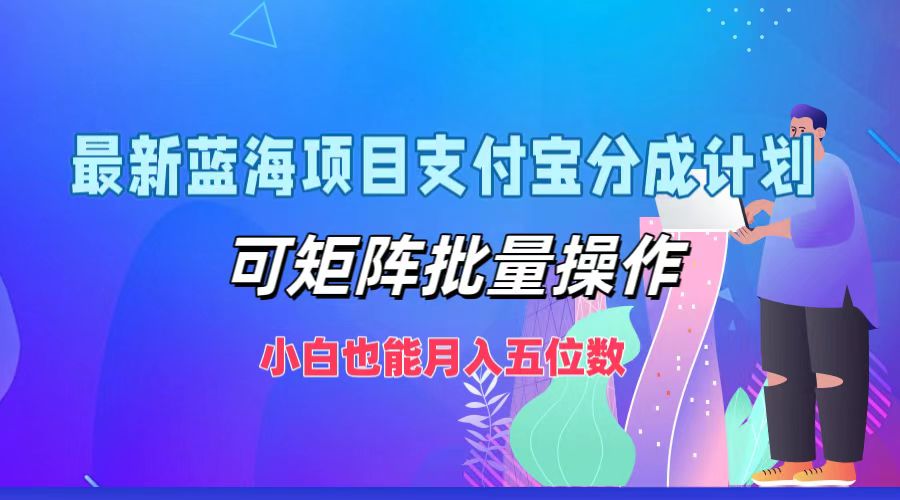 最新蓝海项目支付宝分成计划，可矩阵批量操作，小白也能月入五位数-佳佳云创网