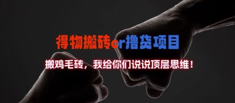 得物搬砖撸货项目?掰下数据，我给你们说说顶层思维【揭秘】-佳佳云创网