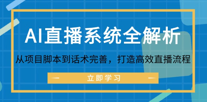 AI直播系统全解析：从项目脚本到话术完善，打造高效直播流程-佳佳云创网