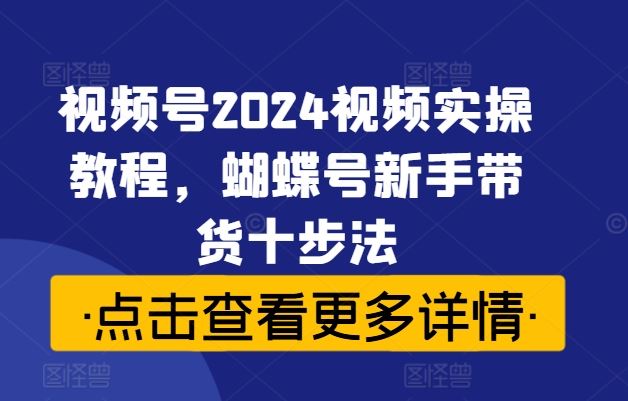 视频号2024视频实操教程，蝴蝶号新手带货十步法-佳佳云创网