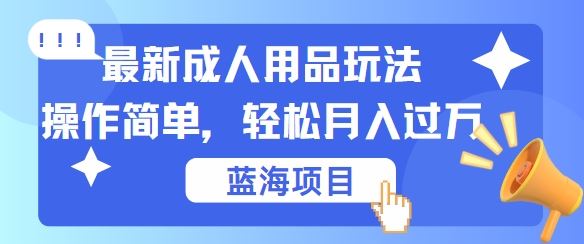最新成人用品项目玩法，操作简单，动动手，轻松日入几张【揭秘】-佳佳云创网