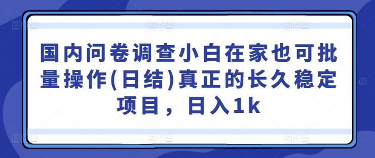 国内问卷调查小白在家也可批量操作(日结)真正的长久稳定项目，日入1k【揭秘】-佳佳云创网