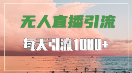 抖音快手视频号全平台通用，无人直播引流法，超暴力引流1000+高质量精准创业粉【揭秘】-佳佳云创网