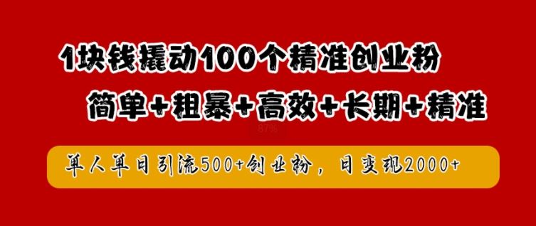 1块钱撬动100个精准创业粉，简单粗暴高效长期精准，单人单日引流500+创业粉，日变现2k【揭秘】-佳佳云创网